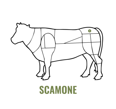 Scamone